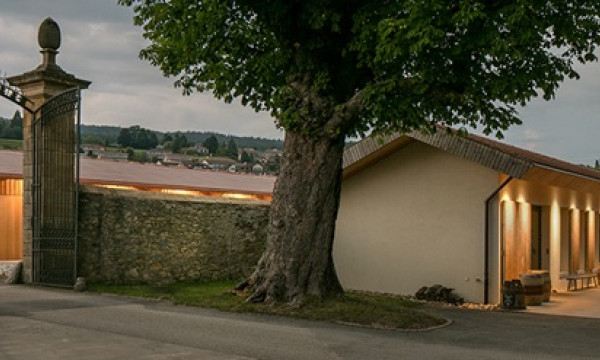 Les Caves du Chateau d'Auvernier