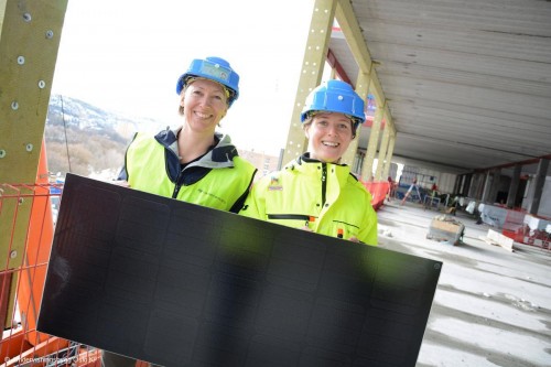 Environmental advisor and technical project manager © Undervisningsbygg Oslo KF